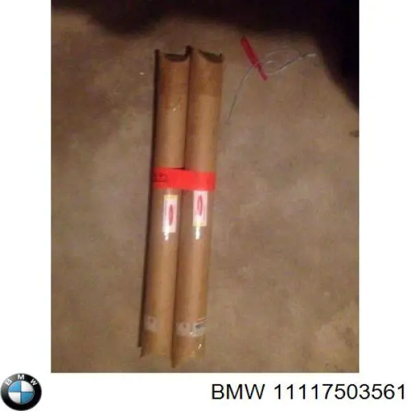 Пеньок BMW 11117503561