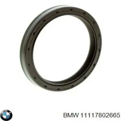 Купити 11117802665 BMW Сальник коленвала передній