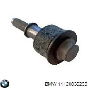 Болт клапанної кришки ГБЦ BMW 11120036235 ціна, від 231.47 USD