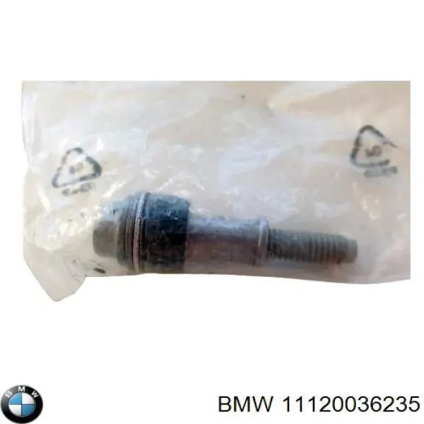 11120036235 BMW Болт клапанної кришки ГБЦ