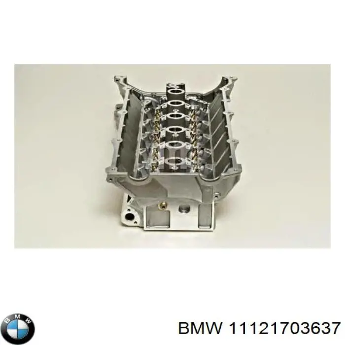 Головка двигуна BMW 11124495268 ціна, від 2420.65 USD