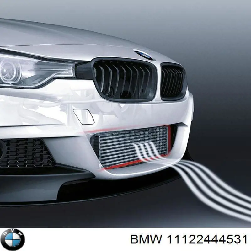 11122444531 BMW 