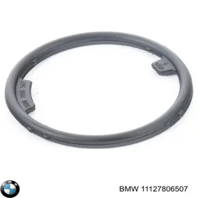 Прокладка клапанної кришки 11127806507 BMW