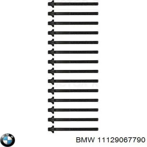 Болт головки блока циліндрів BMW 11129067790