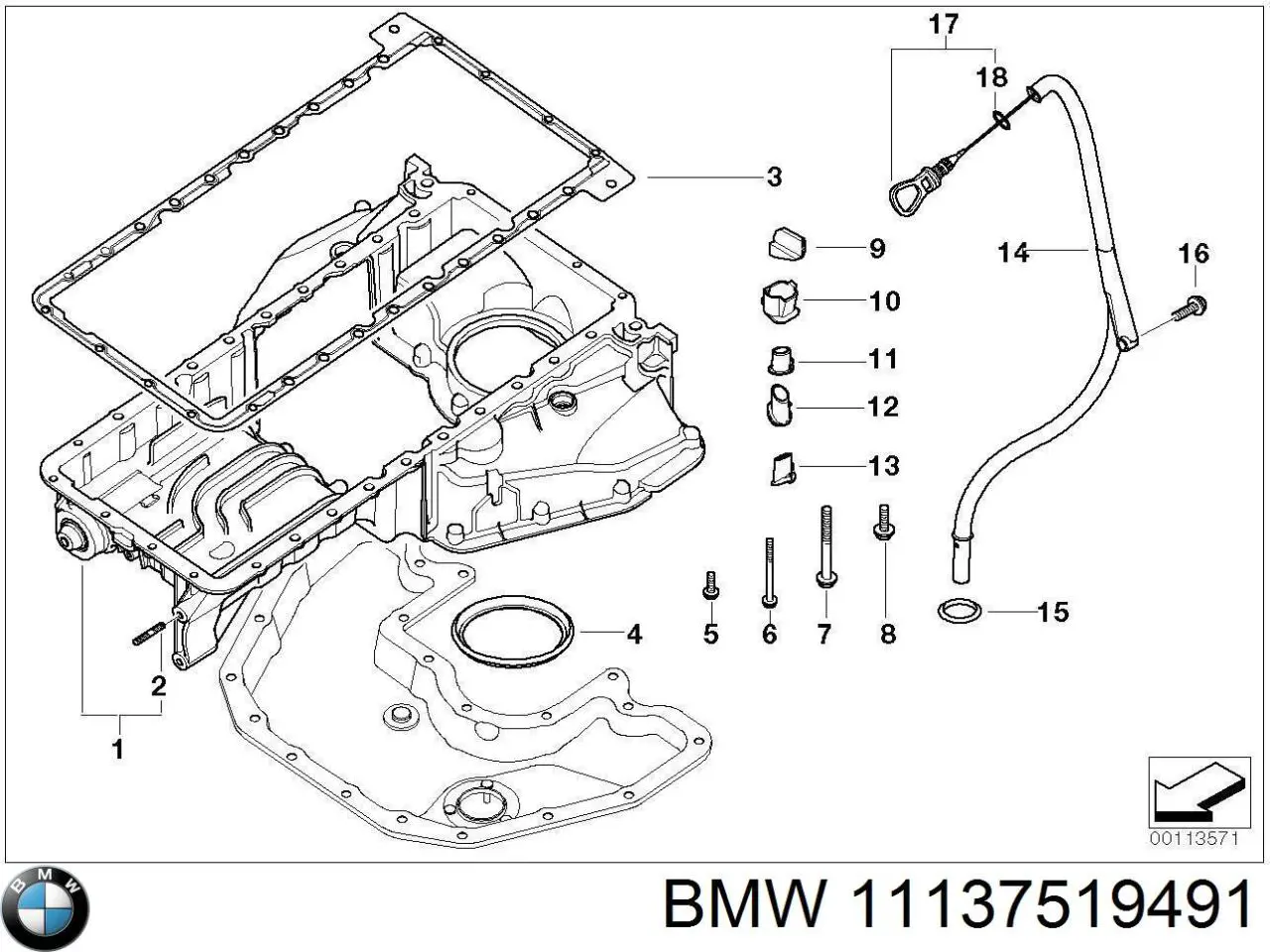  11137519491 BMW