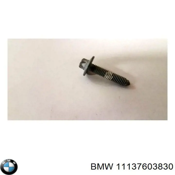 11137603830 BMW 