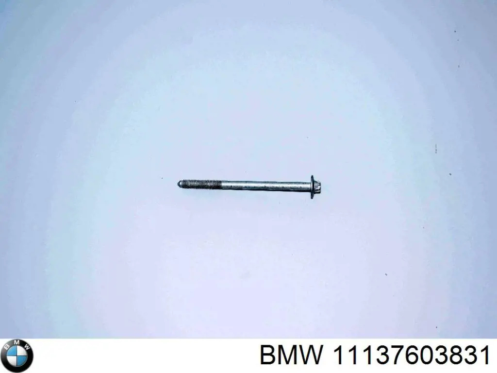  BMW 11137603831 ціна, від 5.46 USD