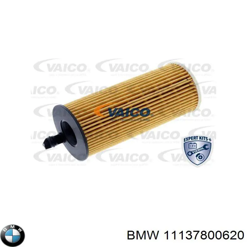 Болт головки блока циліндрів, ГБЦ BMW 11137800620 ціна, від 1.38 USD