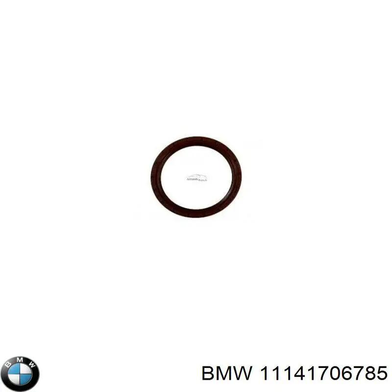 Сальник коленвала двигуна, задній BMW 11141706785