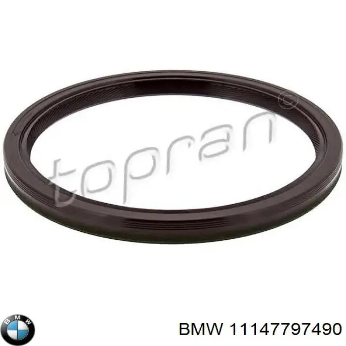 Купити 11147797490 BMW Сальник колінвала задній