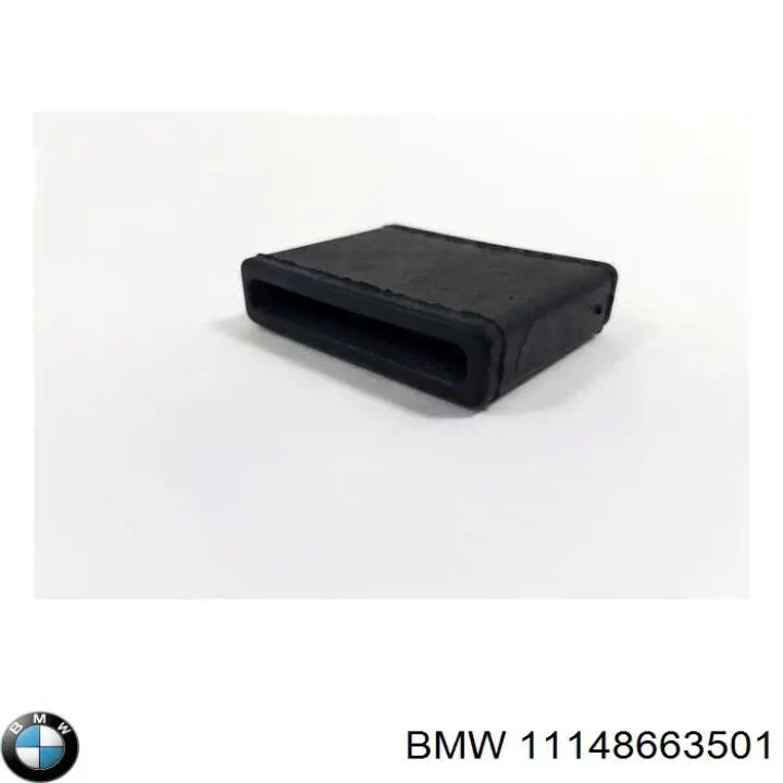 11148663501 BMW 