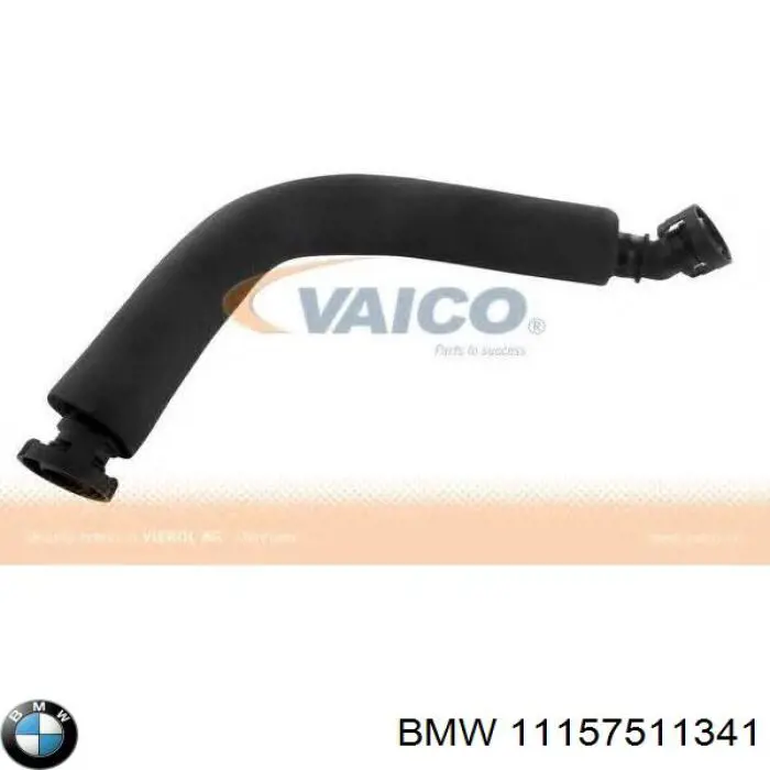 11157511341 BMW 