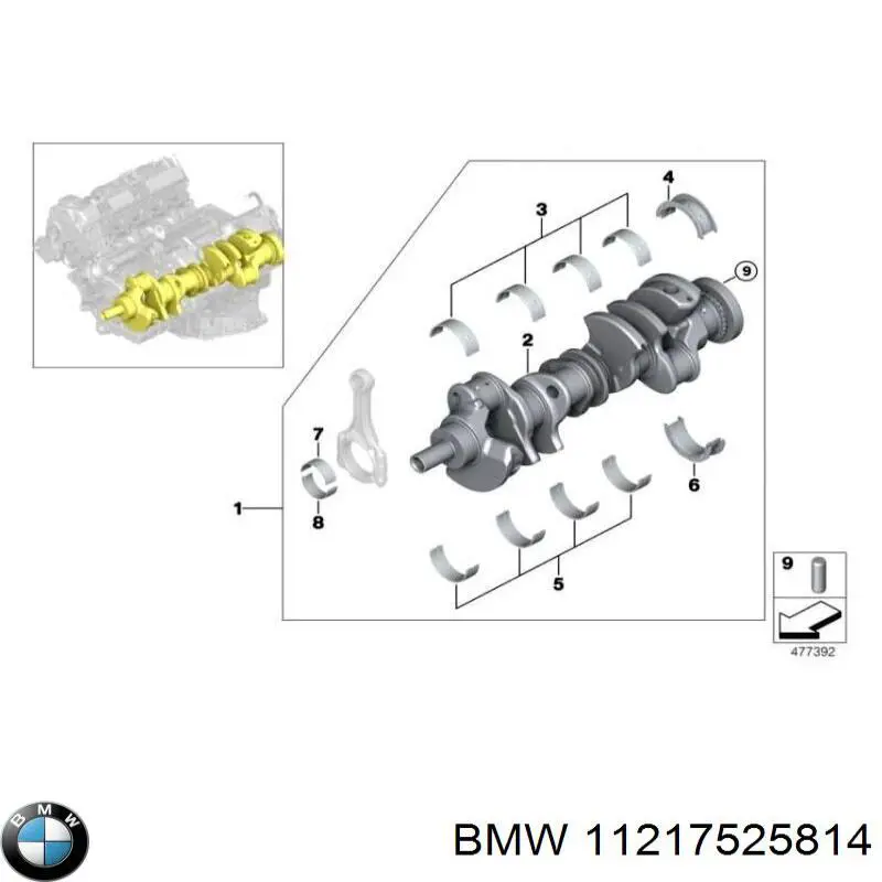11217525814 BMW Вкладиші коленвала, шатунні, комплект, 1-й ремонт (+0,25)