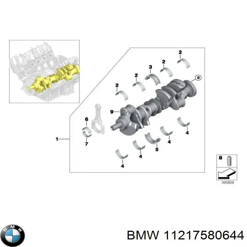 Вкладиші колінвала, корінні, комплект, 1-й ремонт (+0,25) 11217580644 BMW