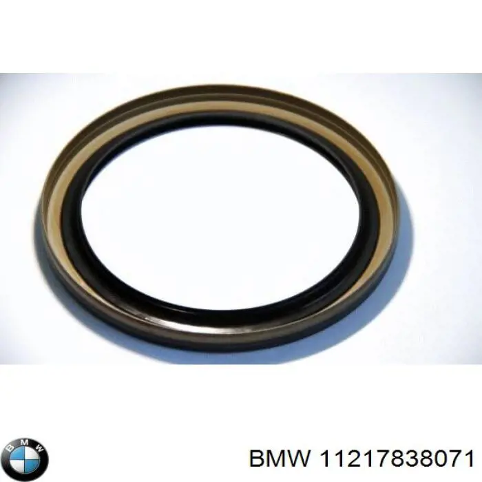 Купити 11217838071 BMW Сальник колінвала задній