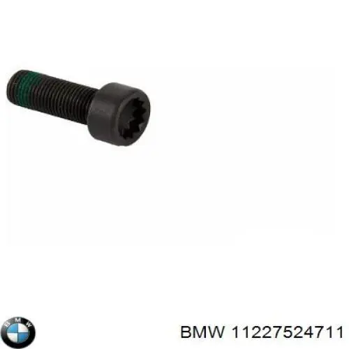 Болт кріплення маховика 1874000046 Sachs