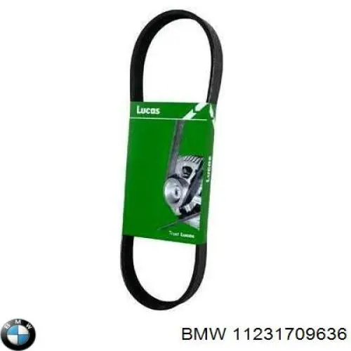 Купити 11231709636 BMW Ремінь генератора