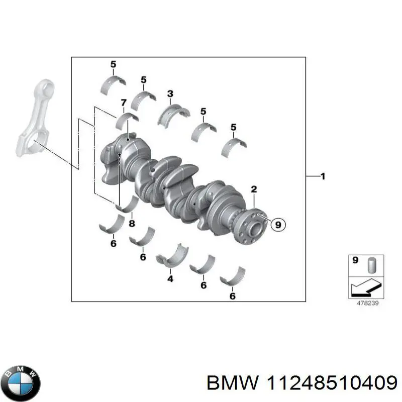 11248510409 BMW Вкладиші коленвала, шатунні, комплект, 1-й ремонт (+0,25)