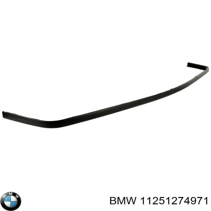 11251432545 BMW 
