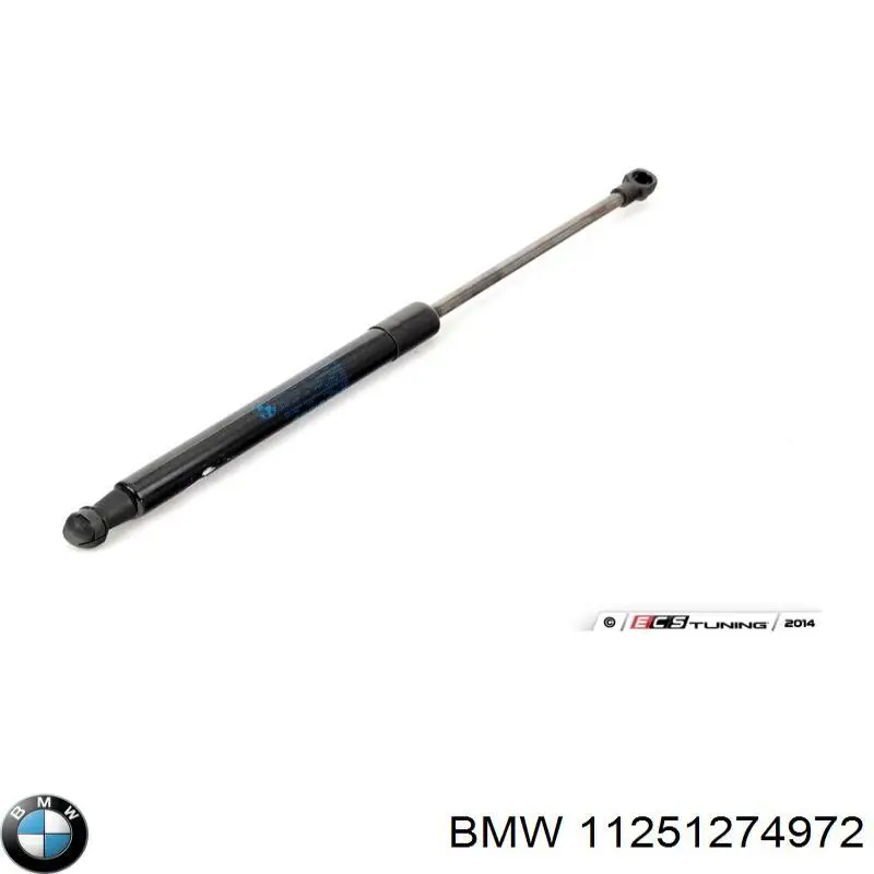 Купити 11251705246 BMW 