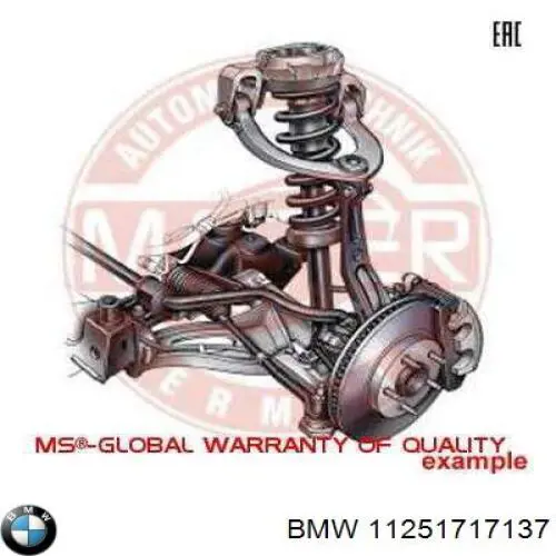 Поршень в комплекті на 1 циліндр, STD 11251717137 BMW