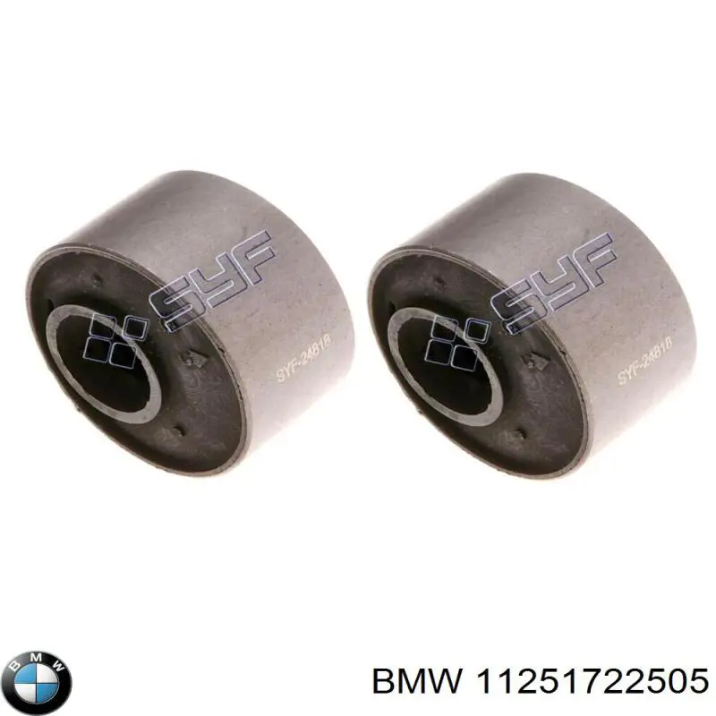 11251722505 BMW Поршня на 1 циліндр, STD