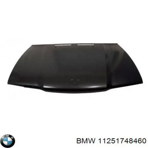 11251703456 BMW Поршня на 1 циліндр, STD