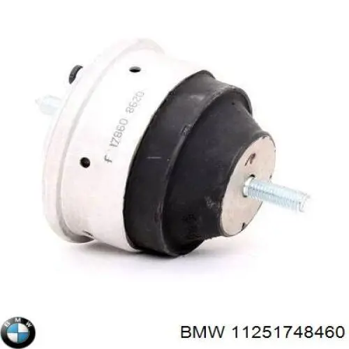 Купити 0826800 Mahle Original Поршень в комплекті на 1 циліндр, STD