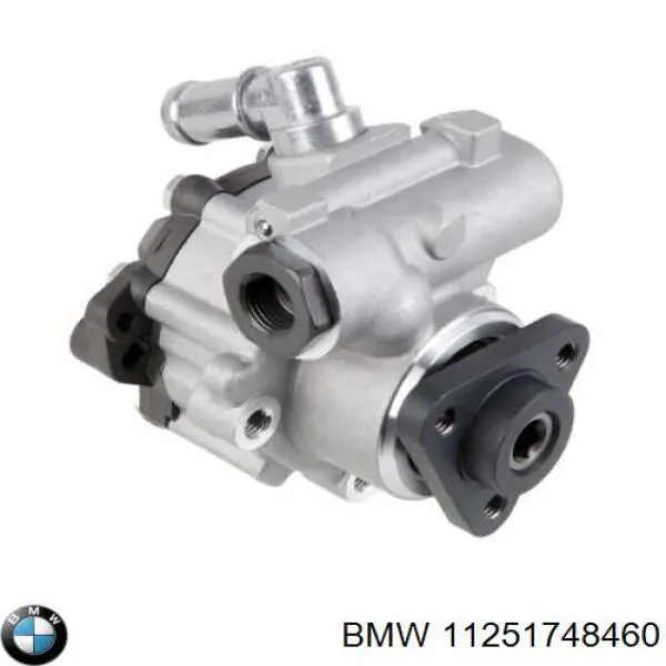 Поршень в комплекті на 1 циліндр, STD 0826800 Mahle Original