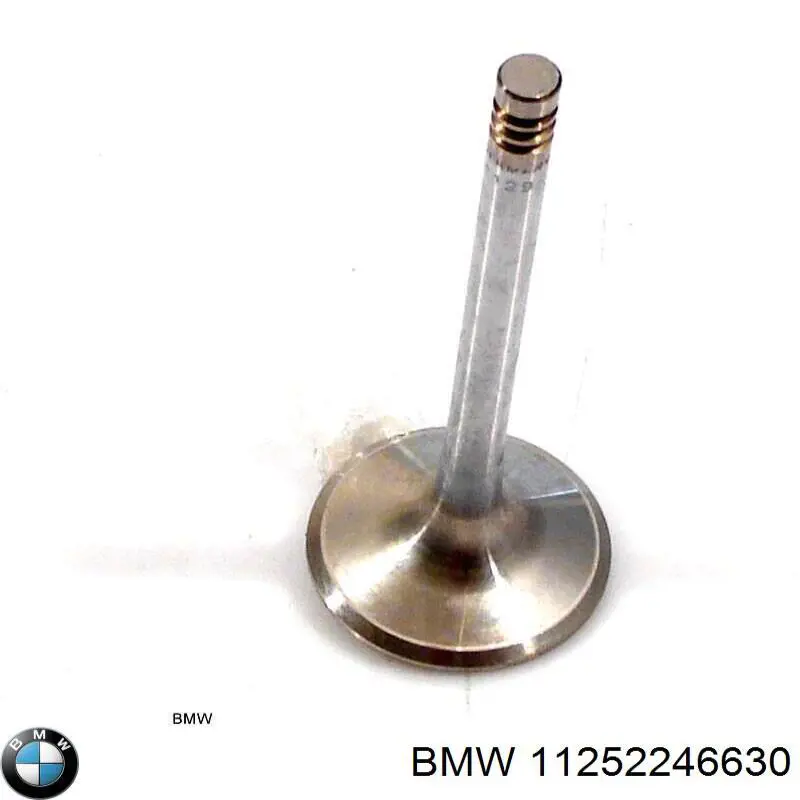 11252246630 BMW 