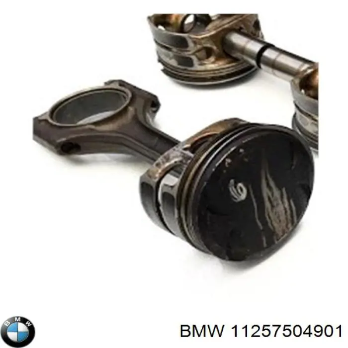  11257504901 BMW