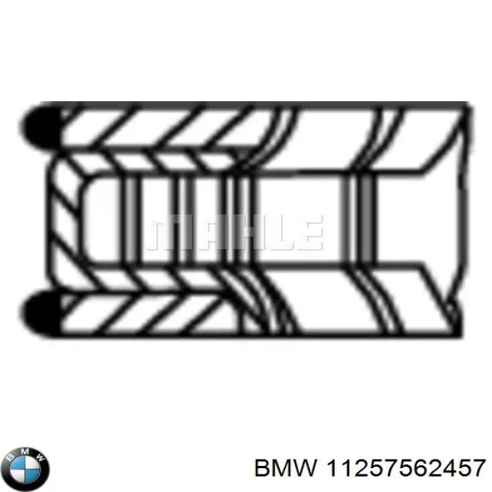 11257562457 BMW кільця поршневі на 1 циліндр, std.