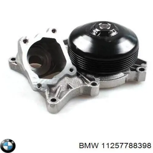 Купити 11257788398 BMW Маслоз'емні кільця, стандартні