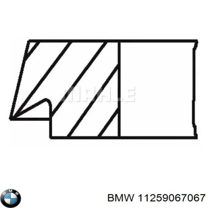 11259067067 BMW 