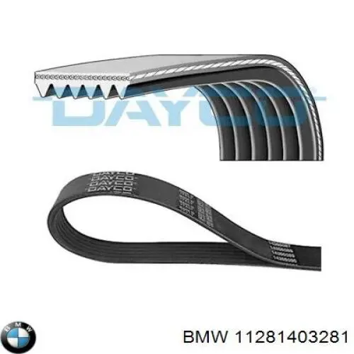 Купити 11281403281 BMW Ремінь генератора