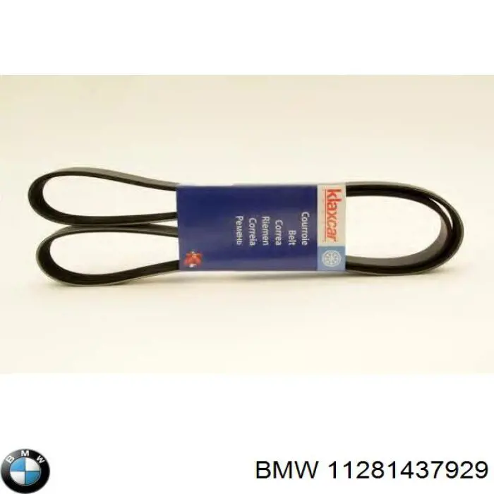 Клиновий ремінь BMW 11281437929 ціна, від 12.32 USD