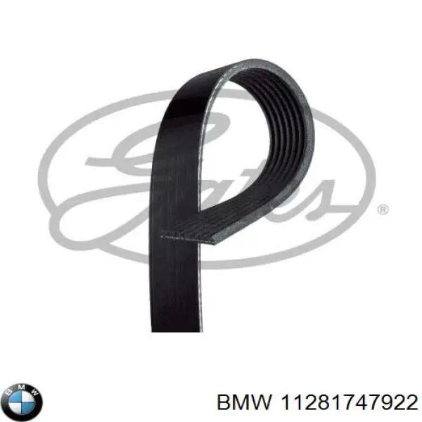 11281747922 BMW Поліклиновий ремінь