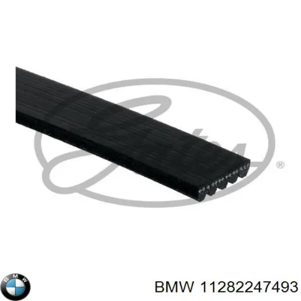 Купити 11282247493 BMW Ремінь генератора
