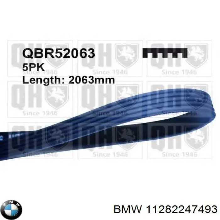 11282247493 BMW Поліклиновий ремінь
