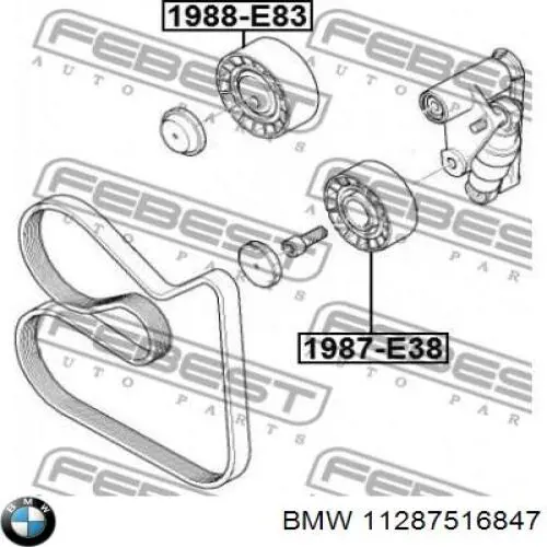 Ролик приводного ременя, паразитний BMW 11287516847 ціна, від 17.08 USD
