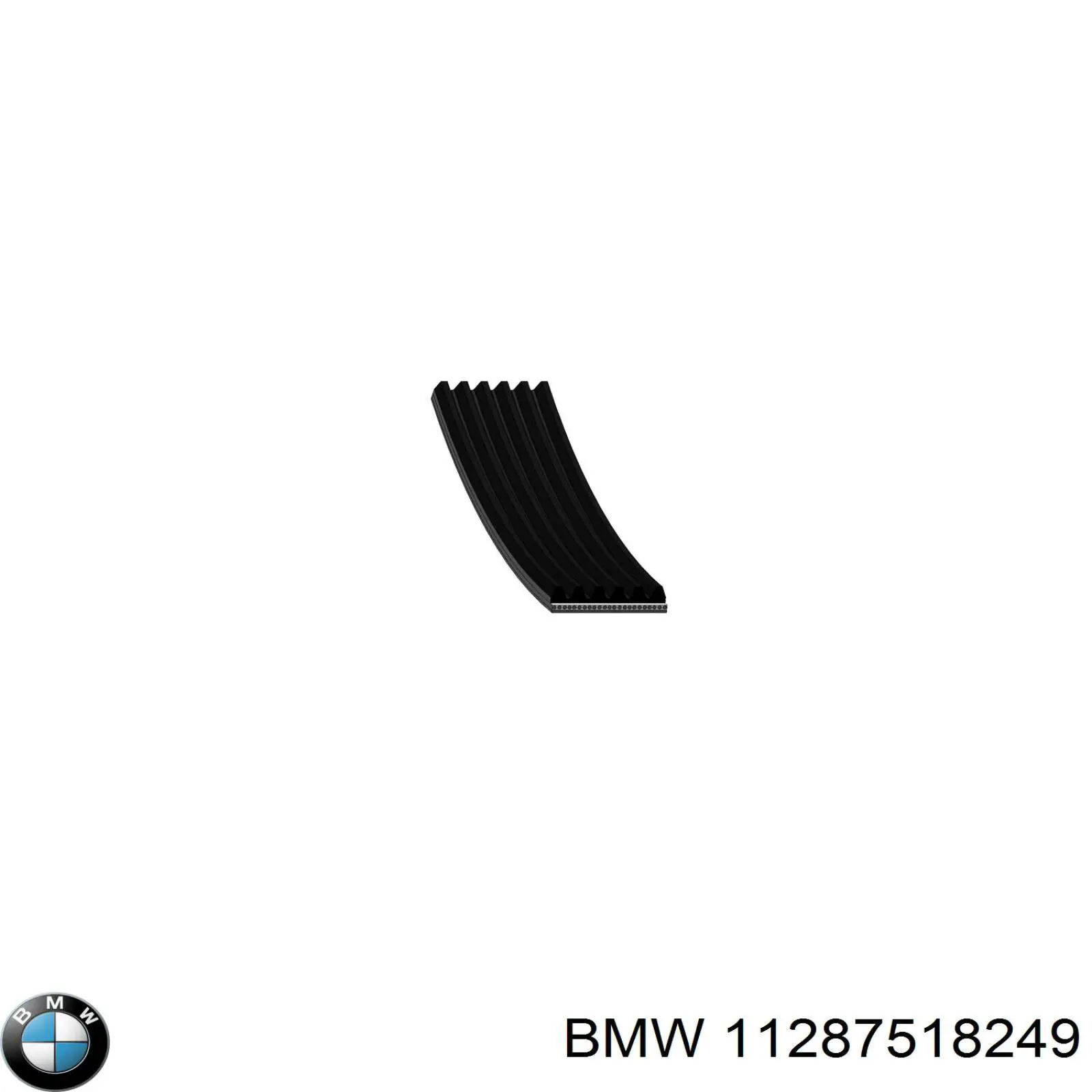 11287518249 BMW Поліклиновий ремінь