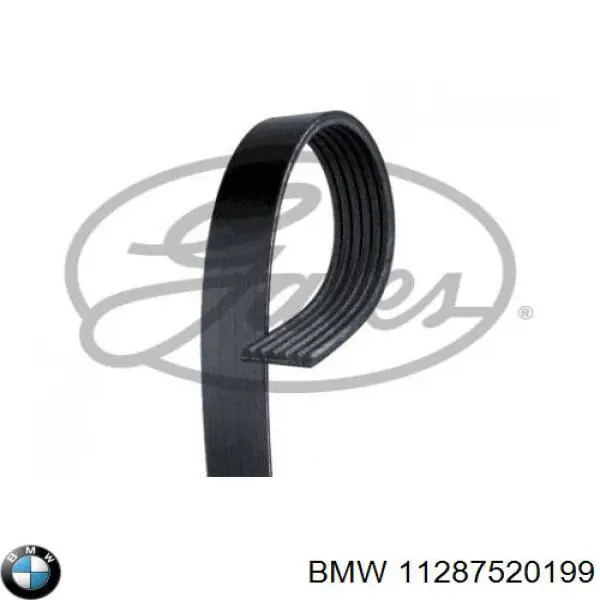 Клиновий ремінь BMW 11287520199 ціна, від 10.48 USD