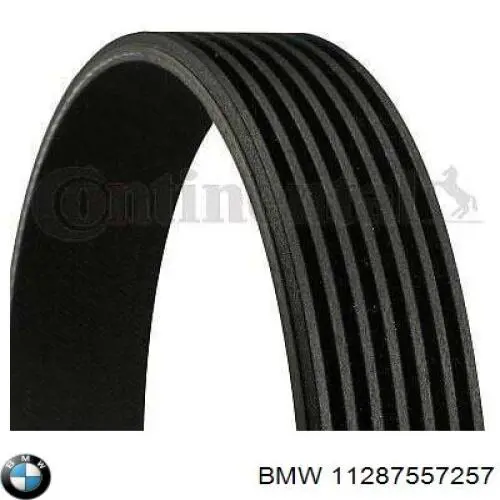Купити 11287557257 BMW Ремінь генератора
