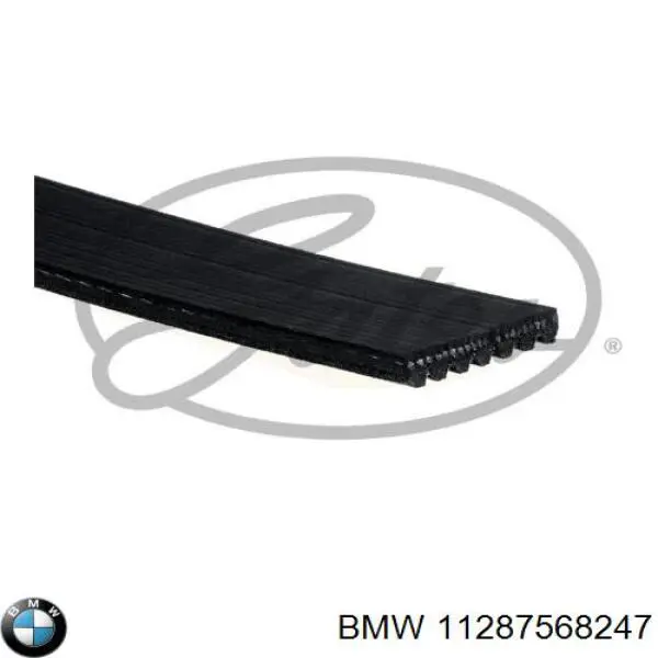 Клиновий ремінь BMW 11287568247 ціна, від 19.17 USD