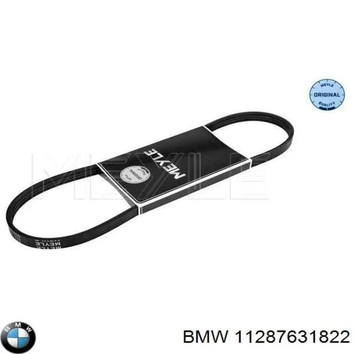 Купити 11287631822 BMW Ремінь генератора