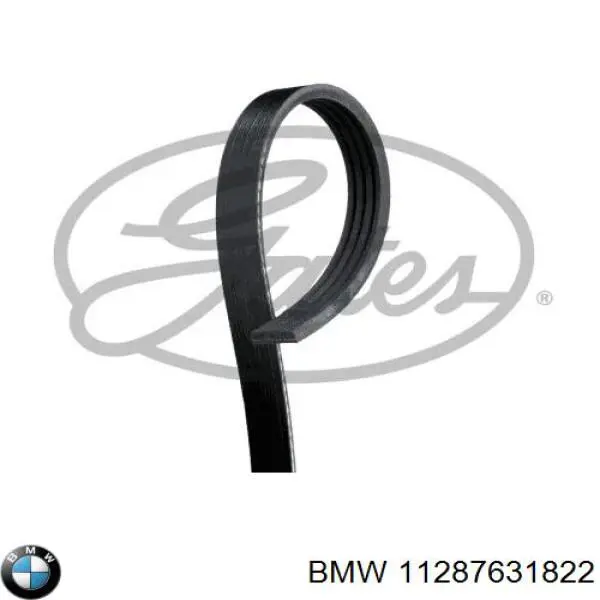 Клиновий ремінь BMW 11287631822 ціна, від 6.35 USD