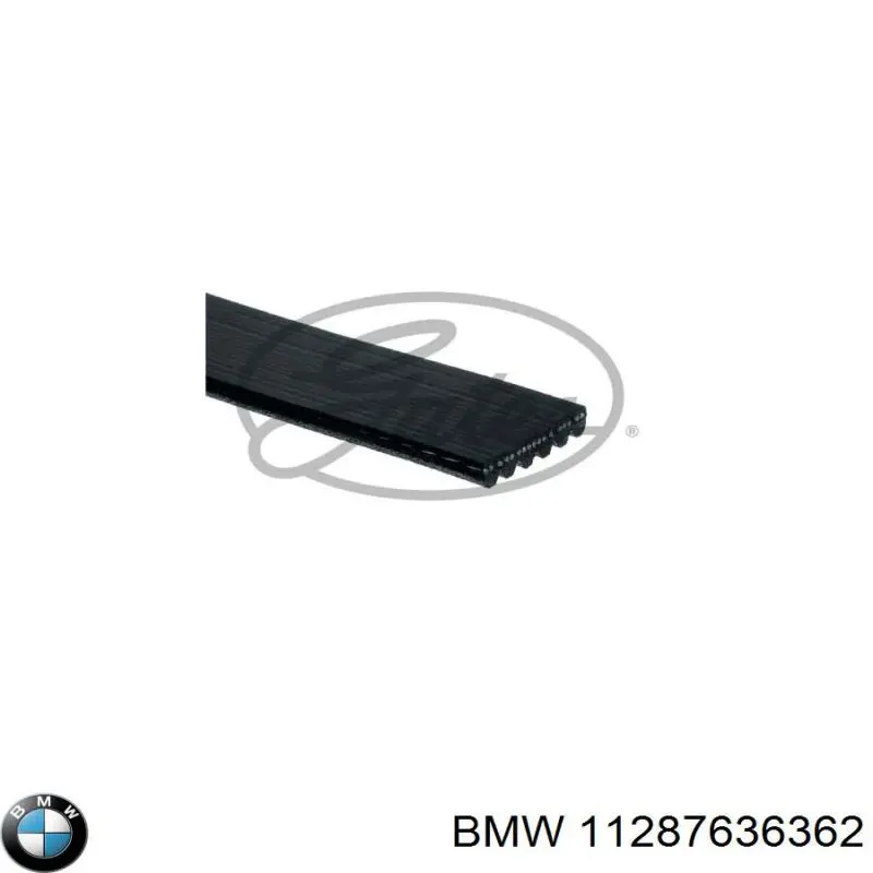 11287636362 BMW Поліклиновий ремінь