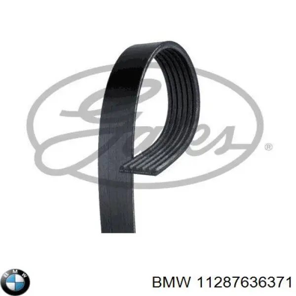 Купити 11287636371 BMW Ремінь генератора