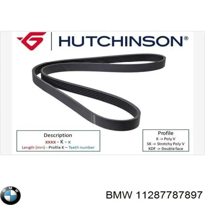 11287787897 BMW Поліклиновий ремінь