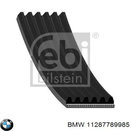 Купити 11287789985 BMW Ремінь генератора